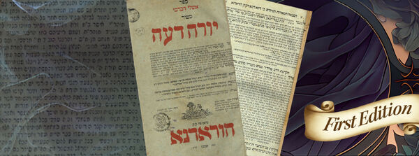Rav Zalman Sorotzkin and Rav Elchanan Wasserman - eight letters