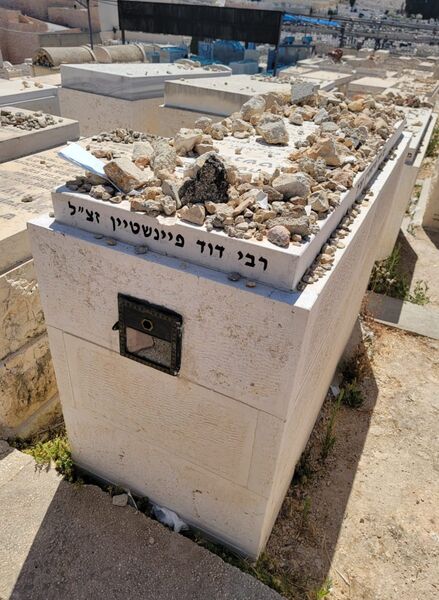 Rav Dovid Feinstein