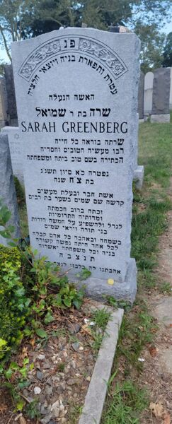 Sara Greenberg