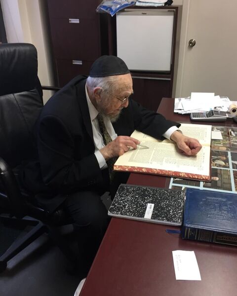 Rav Dovid Feinstein learning